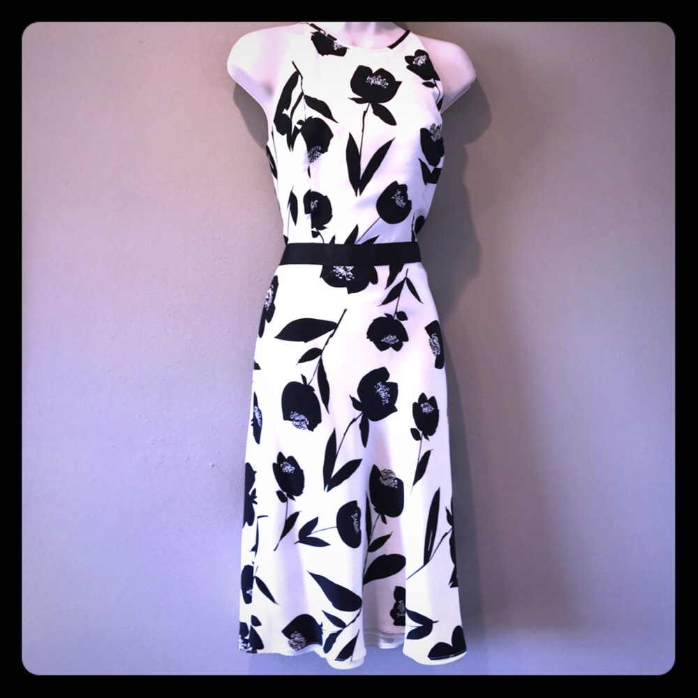 Ann Taylor 100% Silk Dress